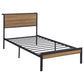 Rick Twin Size Platform Bed 1 Shelf Retro Style Brown Metal Frame Brown By Casagear Home BM315334