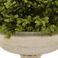 15 Inch Faux Boxwood Topiary Plant in Urn Pedestal Pot, Off White Planter By Casagear Home