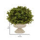 15 Inch Faux Boxwood Topiary Plant in Urn Pedestal Pot, Off White Planter By Casagear Home