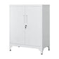 Tira 35 Inch Storage Cabinet with Lock Shelves Cutout Handle Gray Metal By Casagear Home BM316263