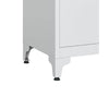 Tira 35 Inch Storage Cabinet with Lock, Shelves, Cutout Handle, Gray Metal By Casagear Home