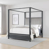 Abby Queen Canopy Bed, Mirrored Trim, Gray Velvet Channel Tufted Upholstery By Casagear Home