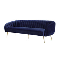 Navy Blue and Gold