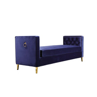 Navy Blue and Gold