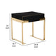 Cid Ruth 25 Inch Nightstand Square Wenge Top Polished Gold Steel Legs By Casagear Home BM317434