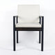 Eni Outdoor Dining Chair Set of 2, Cushioned Seat and Back, White, Black By Casagear Home