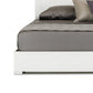 Cona Queen Size Platform Bed LED Light with Silver Accents White Finish By Casagear Home BM317527