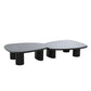 Cid Sami Coffee Table, Set of 2, Freeform Shape, Black Solid Wood Frame By Casagear Home