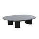 Cid Sami Coffee Table Set of 2 Freeform Shape Black Solid Wood Frame By Casagear Home BM317574