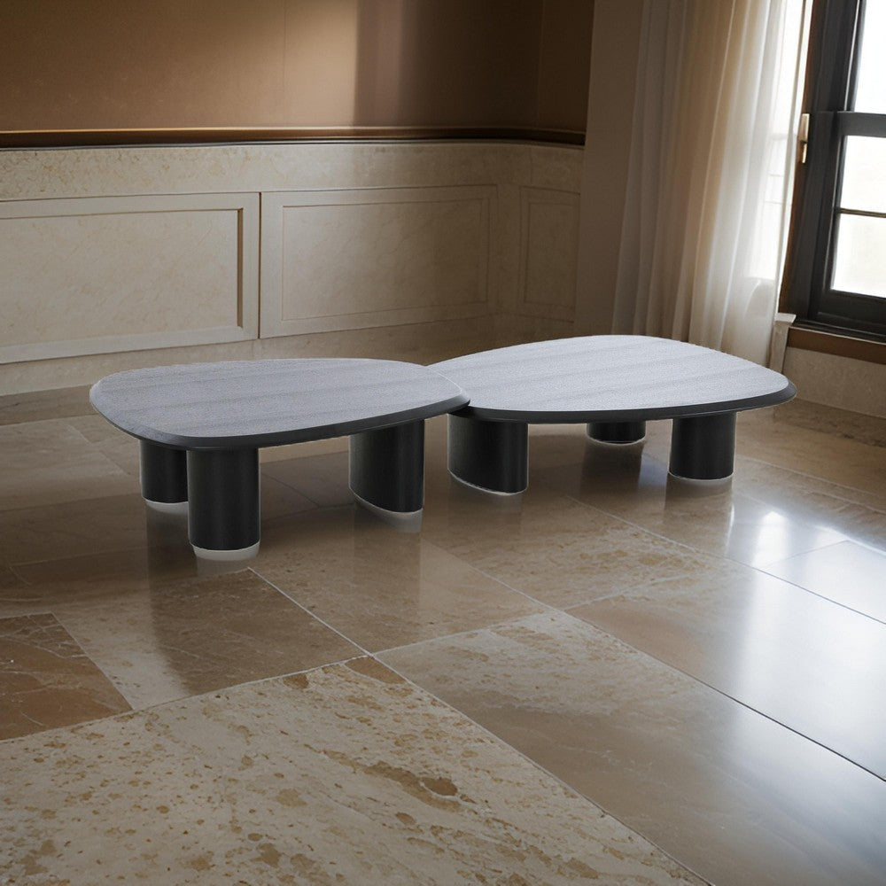 Cid Sami Coffee Table, Set of 2, Freeform Shape, Black Solid Wood Frame By Casagear Home