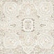 Ashley Wei 5 x 7 Medium Area Rug Persian Medallion Motif Beige BM318250