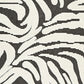 Thom 5 x 7  Medium Area Rug, Bold Zebra Print, Black and White Polyester By Casagear Home