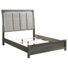 Ren Queen Size Bed, Channel Tufted, LED Panel Headboard, Gray Upholstery By Casagear Home