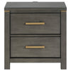 Ren Nightstand 2 Drawers Brass Tone Accents Bar Handles Dark Gray By Casagear Home BM318887