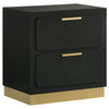 Caer Nightstand, 2 Drawers, Gold Accent Recessed Base, Bar Handles, Black By Casagear Home