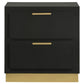 Caer Nightstand 2 Drawers Gold Accent Recessed Base Bar Handles Black By Casagear Home BM318890