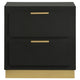 Caer Nightstand 2 Drawers Gold Accent Recessed Base Bar Handles Black By Casagear Home BM318890