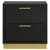 Caer Nightstand 2 Drawers Gold Accent Recessed Base Bar Handles Black By Casagear Home BM318890