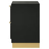 Caer Nightstand 2 Drawers Gold Accent Recessed Base Bar Handles Black By Casagear Home BM318890