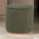 Zia 19 Inch Ottoman Green Faux Sheepskin Upholstery Round Platform Base By Casagear Home BM318999