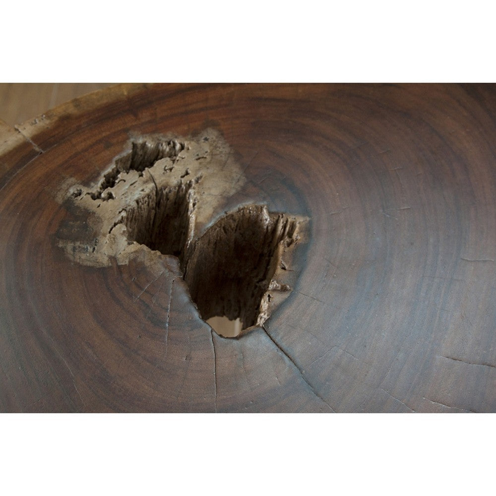 Hito 24in Side End Table Metal Legs Live Edge Brown Solid Parota Wood By Casagear Home BM319042