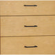 Larie Tall Dresser Chest with 4 Drawers Bar Handles Light Oak Brown By Casagear Home BM319177