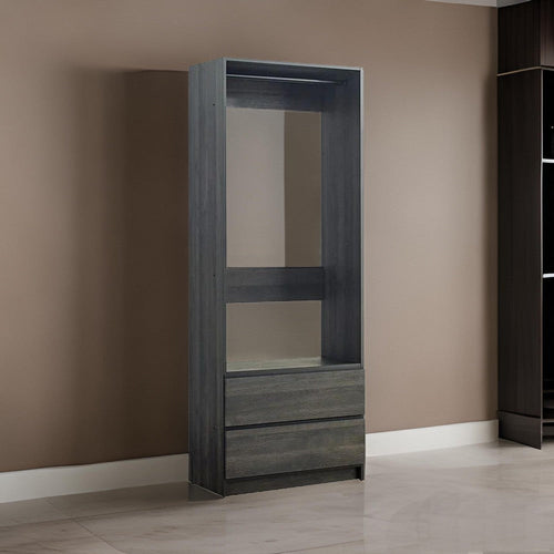 Dee Modular Closet System, 1 Metal Hanging Rod and 2 Drawer, Black Finish By Casagear Home