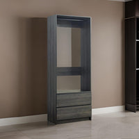 Dee Modular Closet System, 1 Metal Hanging Rod and 2 Drawer, Black Finish By Casagear Home