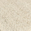 Sane 9 x 12 Extra Large Area Rug, Handwoven Abstract Braided Pattern, Ivory By Casagear Home