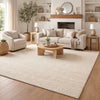 Sane 9 x 12 Extra Large Area Rug, Handwoven Abstract Braided Pattern, Ivory By Casagear Home