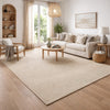 Soen 9 x 12 Extra Large Area Rug, Handwoven Twisted Braid, Beige Wool Blend By Casagear Home