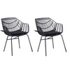 Niya Patio Chair Set of 2, Polyester, Black Steel, Outdoor Rattan Wicker By Casagear Home