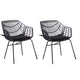 Niya Patio Chair Set of 2, Polyester, Black Steel, Outdoor Rattan Wicker By Casagear Home
