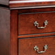 Ryla Nightstand 2 Drawers Bronze Cherry Brown Solid Wood by Casagear Home BM319904