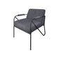 Levy Accent Chair Iron Gray Polyester Soft Plush Foam Black Metal Legs By Casagear Home BM320830