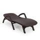Michael Chaise Lounger, Dark Brown Outdoor Resin Wicker Frame, 77 Inch By Casagear Home