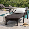 Michael Chaise Lounger, Dark Brown Outdoor Resin Wicker Frame, 77 Inch By Casagear Home