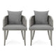 Ruble Accent Chair Set of 2, Gray Waterproof Fabric, Outdoor Rattan, Iron By Casagear Home