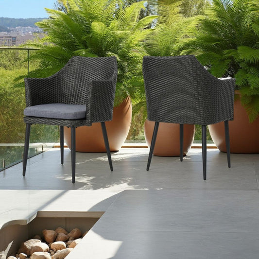 Kenny Outdoor Accent Chair Set of 2, Gray Polyester, PE Rattan, Iron By Casagear Home