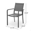 Arini Outdoor Dining Chair Set of 2, Dark Gray Metal, Mesh
