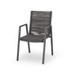 Teny Outdoor Dining Chair Set of 2, Dark Gray Metal. Woven Rope Seat Back