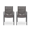 Teny Outdoor Dining Chair Set of 2, Dark Gray Metal. Woven Rope Seat Back