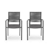 Teny Outdoor Dining Chair Set of 2, Open Back, Gray Metal