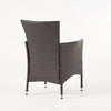 Clem Dining Chair Set of 2, Outdoor Brown Wicker, Iron Beige