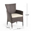 Clem Dining Chair Set of 2, Outdoor Brown Wicker, Iron Beige