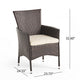 Clem Dining Chair Set of 2, Outdoor Brown Wicker, Iron Beige