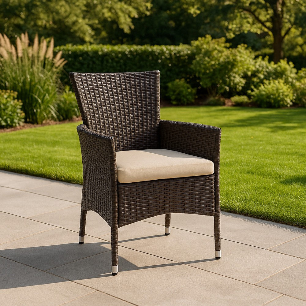 Clem Dining Chair Set of 2, Beige, Outdoor Dark Brown Wicker, Iron Frame