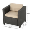 Elza Outdoor Accent Chair, Iron, Faux Rattan Wicker, Beige