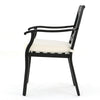 Weny Outdoor Accent Armchair Set of 2, Ivory Cushions, Black