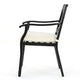 Weny Outdoor Accent Armchair Set of 2, Ivory Cushions, Black